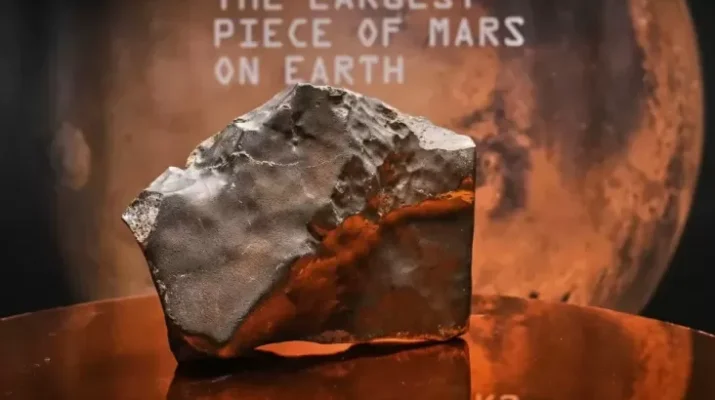 Meteorit Mars Terbesar di Bumi Terjual Rp69,88 Miliar, Niger Tuntut Keadilan dan Lakukan Investigasi Global